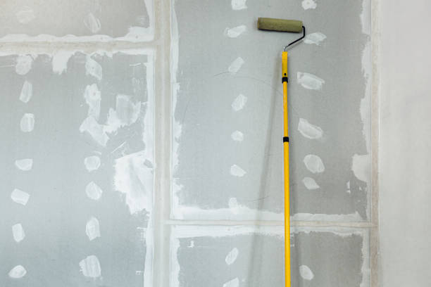 Best Mold Prevention Services  in Belgrade, MT