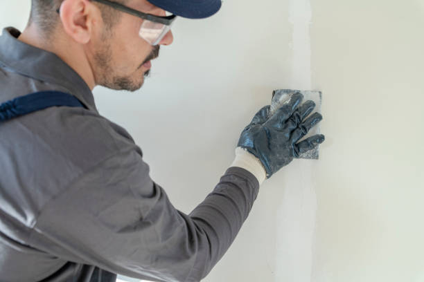 Best Post-Construction Mold Inspection  in Belgrade, MT