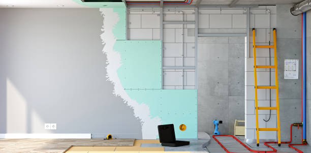 Professional Mold Removal in Belgrade, MT