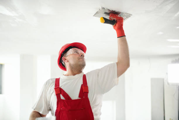 Best Air Quality Testing for Mold Spores  in Belgrade, MT