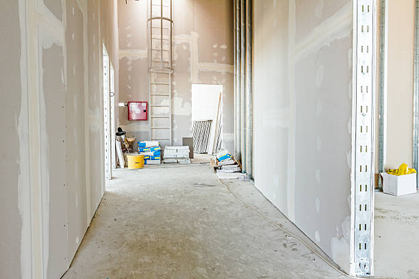 Best Mold Damage Restoration  in Belgrade, MT